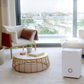 30L Dehumidifier with Max Extraction and Smart App Control